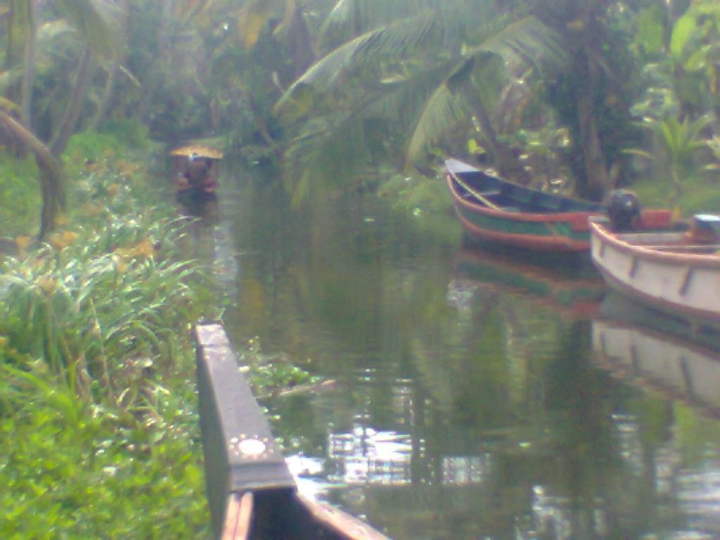 Funky Art Beach House Bed & Breakfast Alappuzha Exterior photo